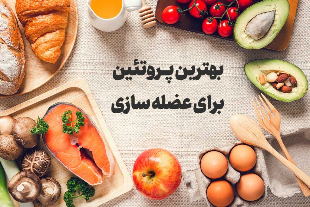 بهترین پروتئین برای عضله سازی به صورت طبیعی چیست.بهترین پروتئین برای چربی سوزی و عضله سازی تخم مرغ است.